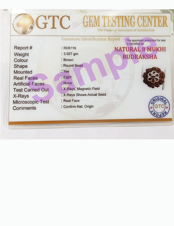8 Mukhi Nepali Rudraksha Silver (Chandi) Pendant